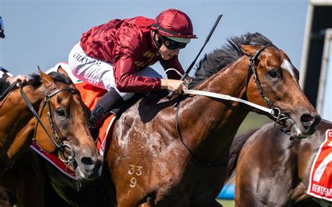 cf orr stakes horses|Jacquinot wins the C.F. Orr Stakes: Post Race  .